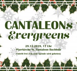 Cantaleons Evergreens